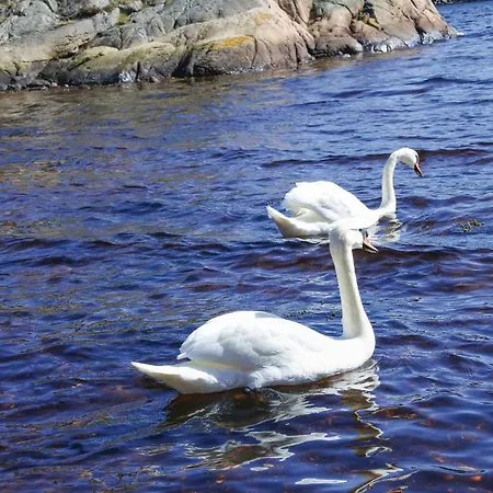 Risor With Fireplace I *